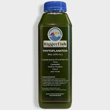 Bigger Fish Phytoplankton