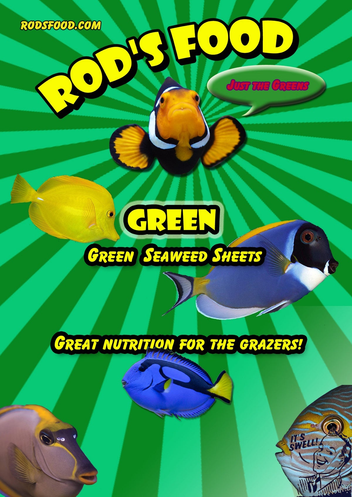 Rod’s Green Seaweed